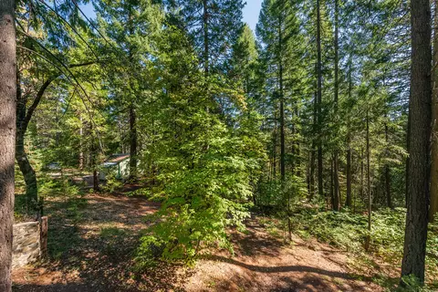 761 Lake Forest Dr, Trinity Center, CA 96091 photo 33