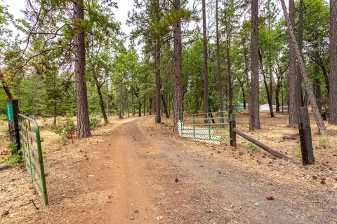 Other - 29282 Laurel Tree Ln, Shingletown, CA 96088 photo 8 of 8