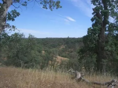 0 Entry Dr, Red Bluff, CA 96080 photo 4