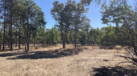 Exterior - 640-540 Iris Rd, Mcarthur, CA 96056 photo 10 of 13