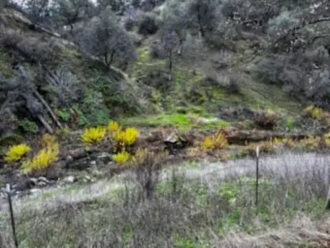 Other - 13606 Jeep Trl, Redding, CA 96003 photo 3 of 4