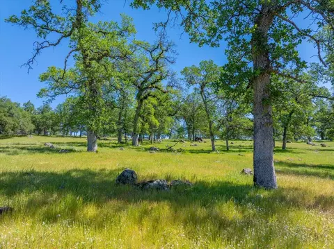 Exterior - 26602 Snider Ranch Rd, Oak Run, CA 96069 photo 18 of 18