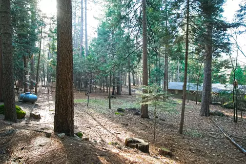30936 Bambi Dr, Shingletown, CA 96088 photo 19