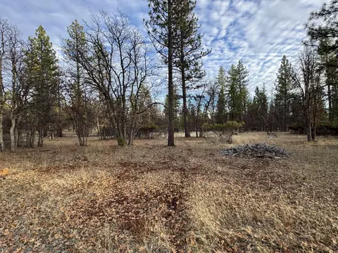 Exterior - 39477 Crane Rd, Cassel, CA 96016 photo 3 of 10