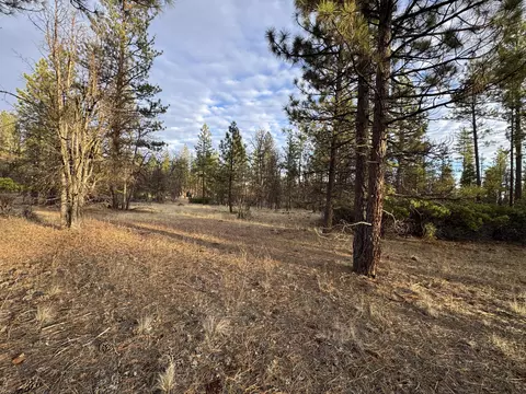 Exterior - 39477 Crane Rd, Cassel, CA 96016 photo 2 of 10