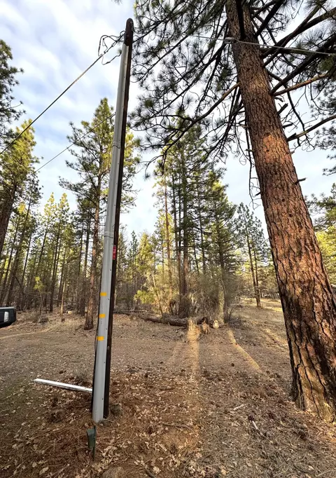 Other - 39477 Crane Rd, Cassel, CA 96016 photo 12 of 12