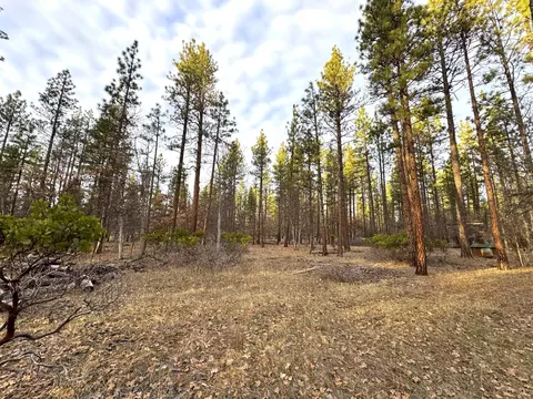 Exterior - 39477 Crane Rd, Cassel, CA 96016 photo 10 of 10