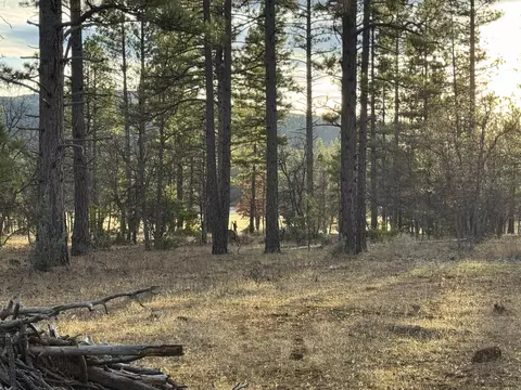 Other - 39477 Crane Rd, Cassel, CA 96016 photo 2 of 12