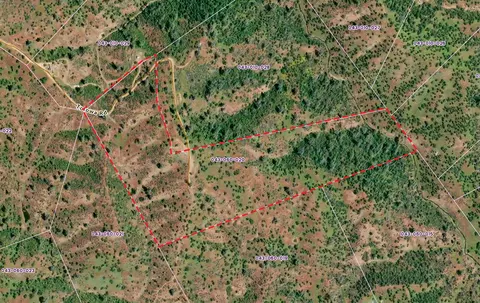 233 Tolowa Rd, Igo, CA 96047