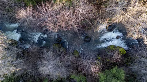 View/Area - 32017 Rock Creek Rd, Manton, CA 96059 photo 7 of 7