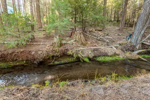 Other - Undisclosed, Shingletown, CA 96088 photo 27 of 33