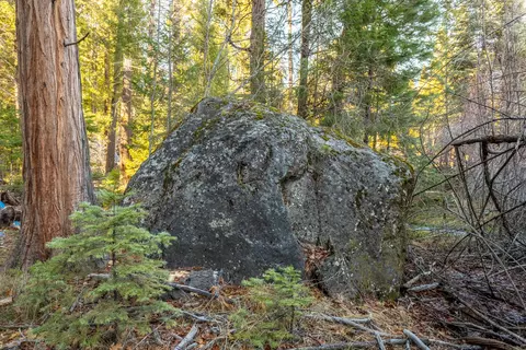 Other - Undisclosed, Shingletown, CA 96088 photo 25 of 33