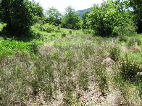 18155 Patterson Ranch Rd, Round Mountain, CA 96084 photo 18