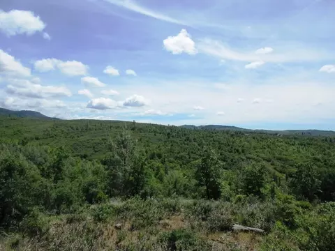 18155 Patterson Ranch Rd, Round Mountain, CA 96084 photo 12