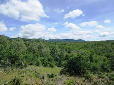 18155 Patterson Ranch Rd, Round Mountain, CA 96084 photo 13