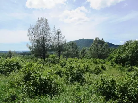 18155 Patterson Ranch Rd, Round Mountain, CA 96084 photo 19