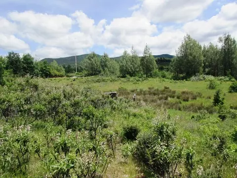 18155 Patterson Ranch Rd, Round Mountain, CA 96084 photo 3