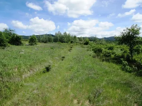 18155 Patterson Ranch Rd, Round Mountain, CA 96084 photo 15