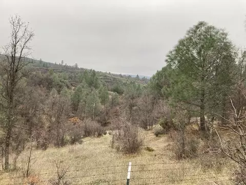 18155 Patterson Ranch Rd, Round Mountain, CA 96084 photo 28