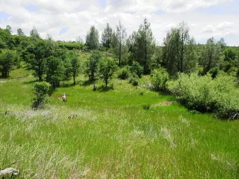 18155 Patterson Ranch Rd, Round Mountain, CA 96084 photo 8