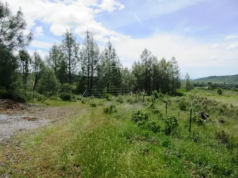 18155 Patterson Ranch Rd, Round Mountain, CA 96084 photo 4