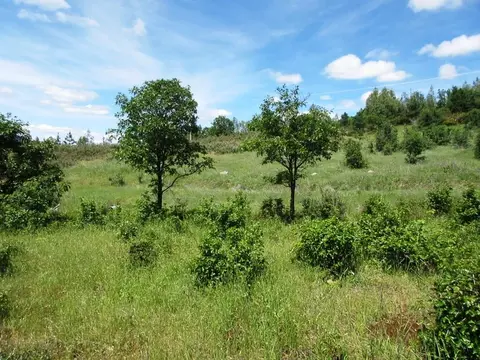 18155 Patterson Ranch Rd, Round Mountain, CA 96084 photo 14