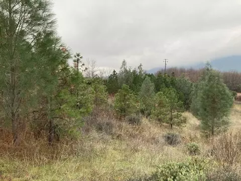 18155 Patterson Ranch Rd, Round Mountain, CA 96084 photo 30