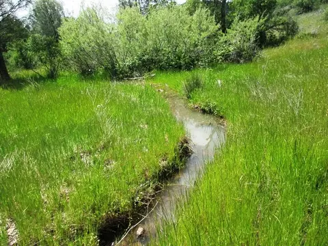 18155 Patterson Ranch Rd, Round Mountain, CA 96084 photo 9