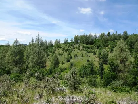 18155 Patterson Ranch Rd, Round Mountain, CA 96084 photo 10