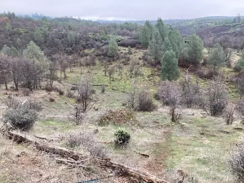 18155 Patterson Ranch Rd, Round Mountain, CA 96084 photo 27