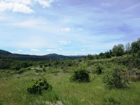 18155 Patterson Ranch Rd, Round Mountain, CA 96084 photo 21