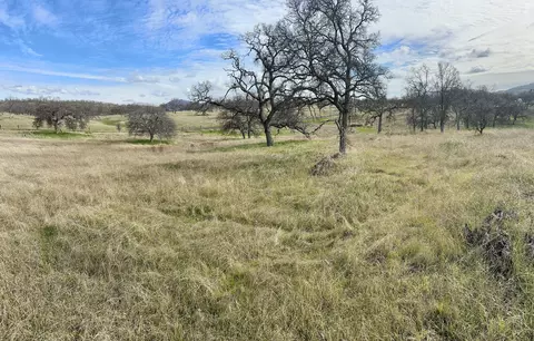 Navarro, Out Of Area, CA 95329