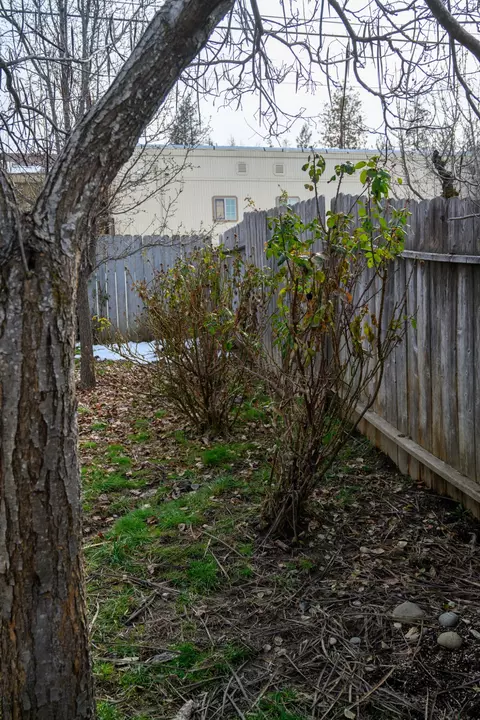 20 2nd Ave, Lewiston, CA 96052 photo 26