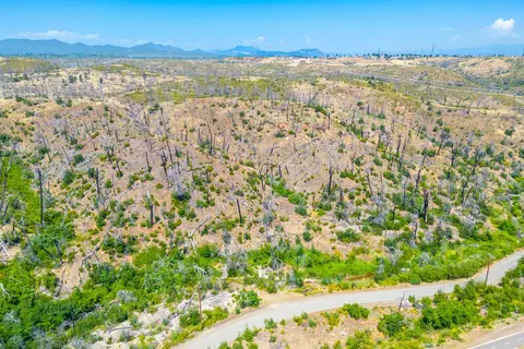 Middle Creek Road, Redding, CA 96001 photo 6