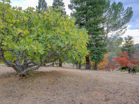 Exterior - 15917 Frontiersman Dr, Redding, CA 96001 photo 31 of 41