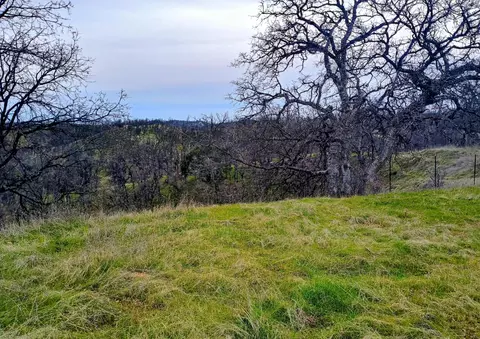 Bull Run Trail, Red Bluff, CA 96080 photo 3