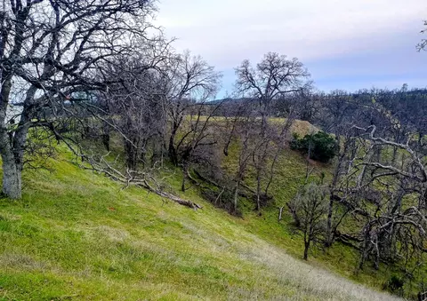 Bull Run Trail, Red Bluff, CA 96080 photo 10