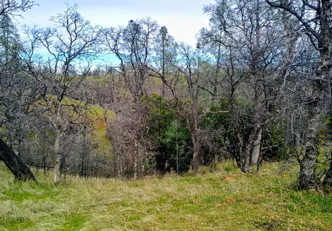 Bull Run Trail, Red Bluff, CA 96080 photo 8