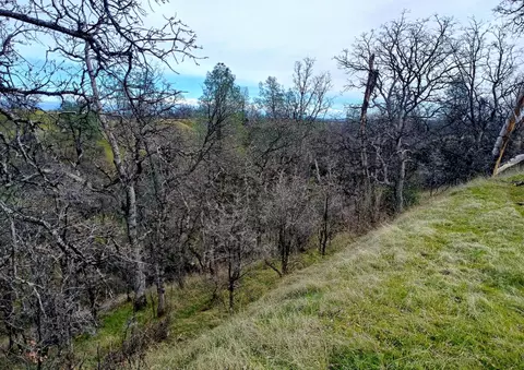 Bull Run Trail, Red Bluff, CA 96080 photo 13