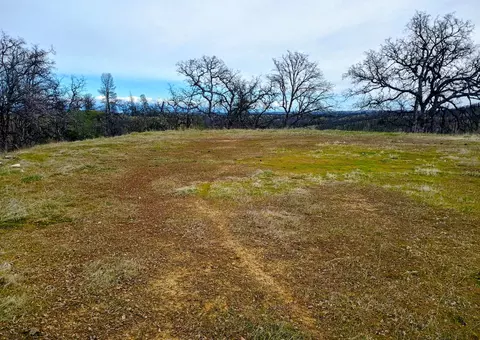 Bull Run Trail, Red Bluff, CA 96080 photo 7