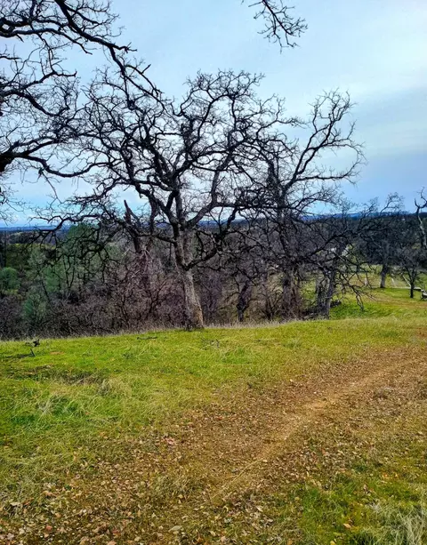 Bull Run Trail, Red Bluff, CA 96080 photo 15