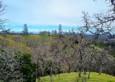 Bull Run Trail, Red Bluff, CA 96080 photo 5