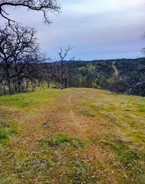 Bull Run Trail, Red Bluff, CA 96080 photo 16