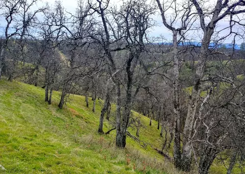 Bull Run Trail, Red Bluff, CA 96080 photo 11
