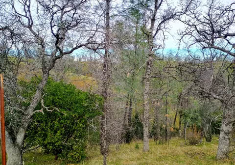 Bull Run Trail, Red Bluff, CA 96080 photo 2