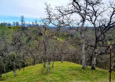 Bull Run Trail, Red Bluff, CA 96080 photo 6