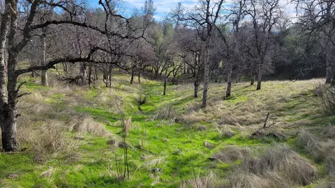 000 Green Mountain Trl, Redding, CA 96003 photo 21