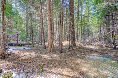 Savannah Court, Shingletown, CA 96088