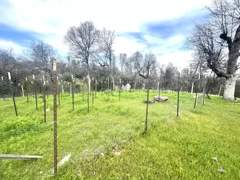 9772 Harley Leighton Rd, Redding, CA 96003 photo 37