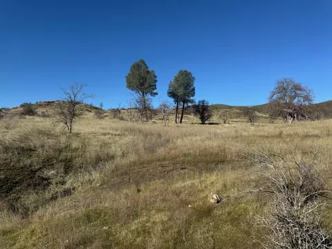 000 Platina Rd, Ono, CA 96047 photo 3